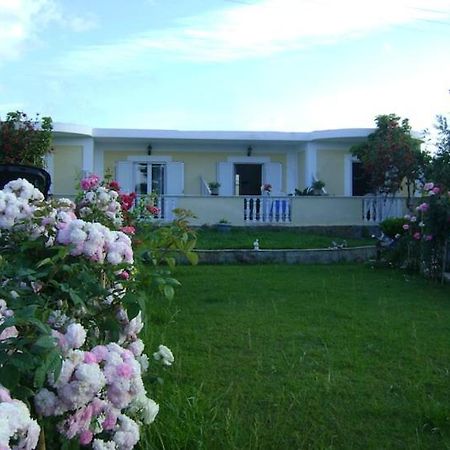 Zante Summer Retreats - Marietta's Studios Drosia Kypseli Exterior foto