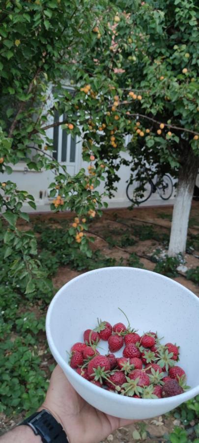 Zante Summer Retreats - Marietta's Studios Drosia Kypseli Exterior foto