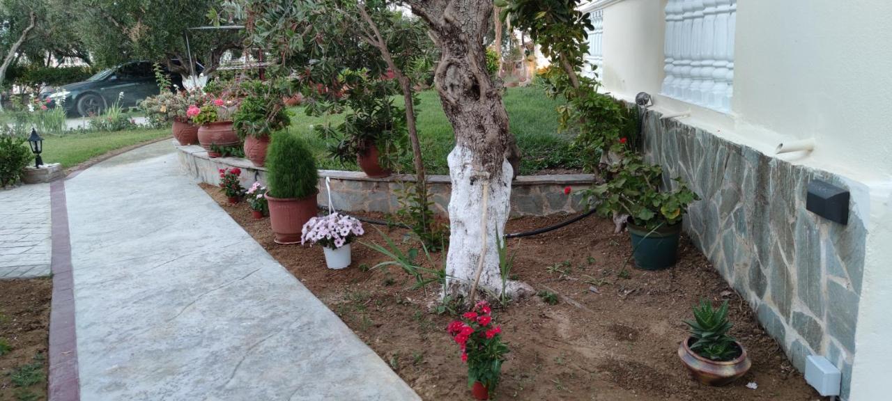 Zante Summer Retreats - Marietta's Studios Drosia Kypseli Exterior foto