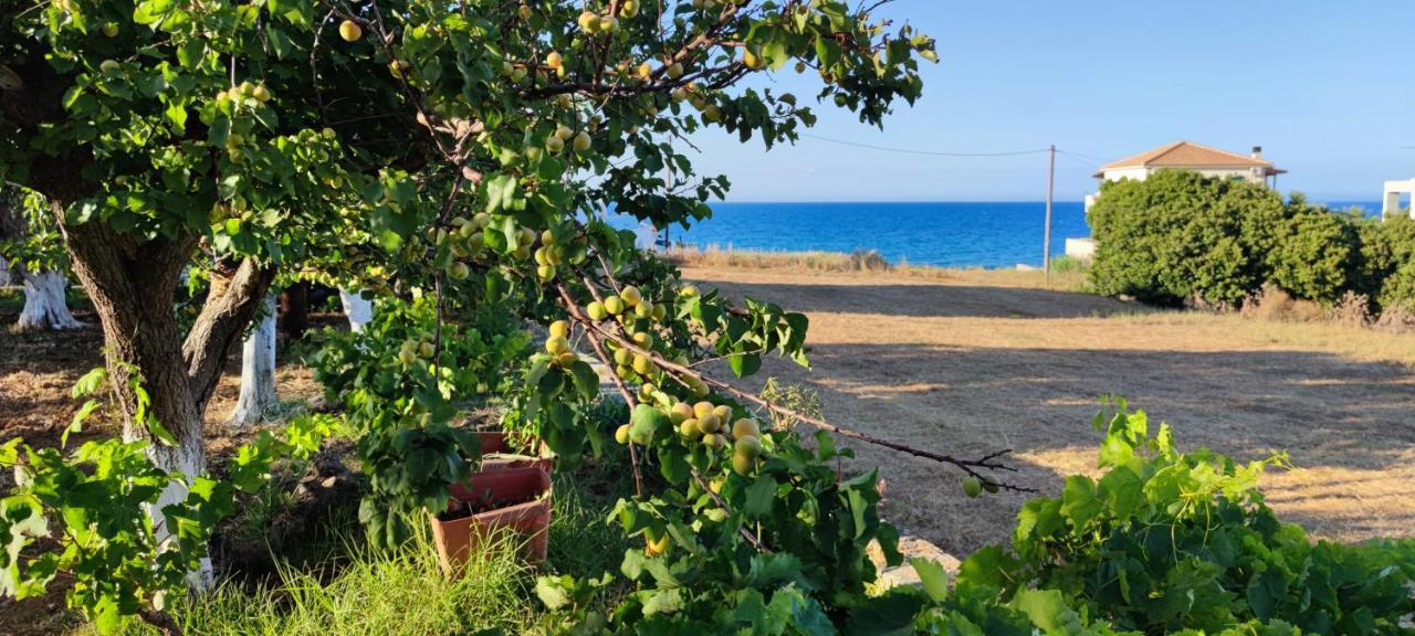 Zante Summer Retreats - Marietta's Studios Drosia Kypseli Exterior foto
