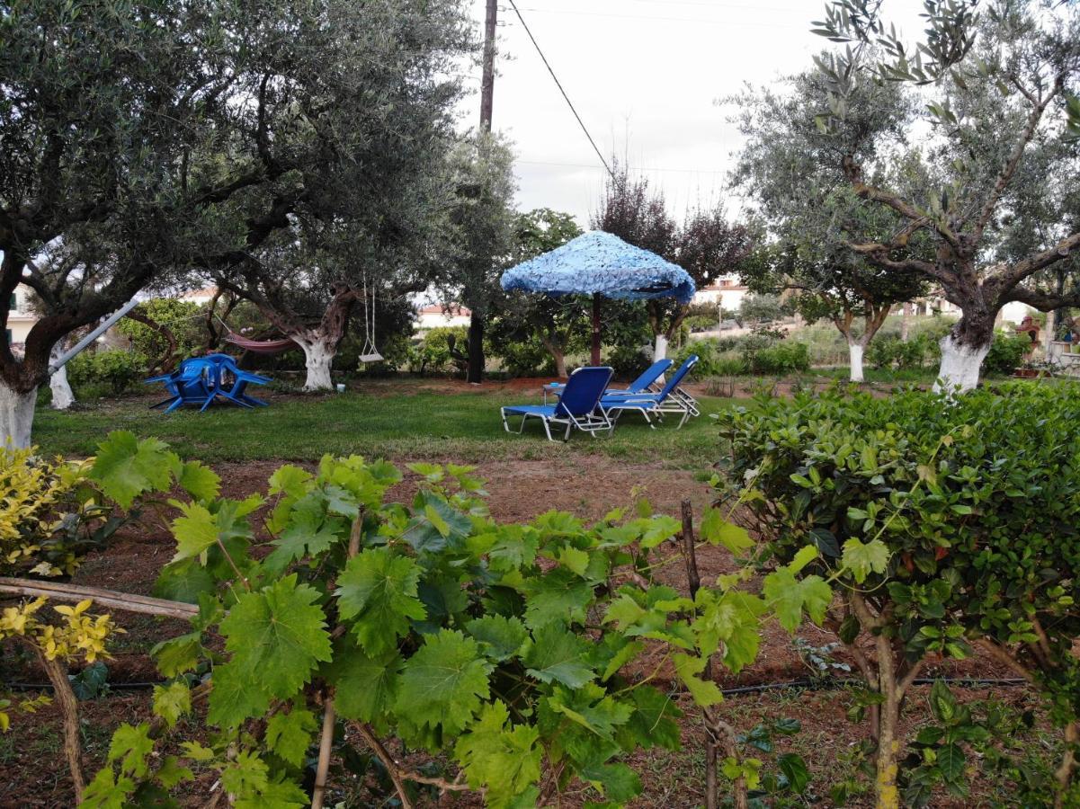 Zante Summer Retreats - Marietta's Studios Drosia Kypseli Exterior foto