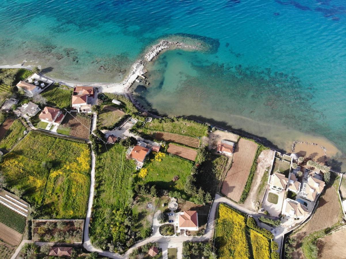 Zante Summer Retreats - Marietta's Studios Drosia Kypseli Exterior foto